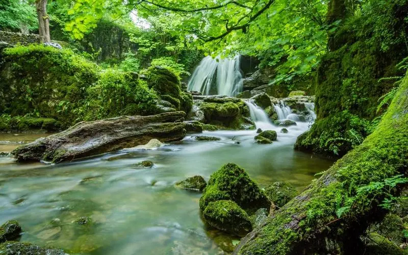 绿色高效智慧